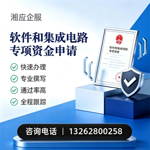 衡阳软件和集成电路专项资金申报服务