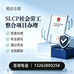 衡阳SLCP社会劳工整合项目申报服务