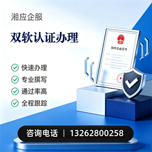 衡阳双软认证申报服务