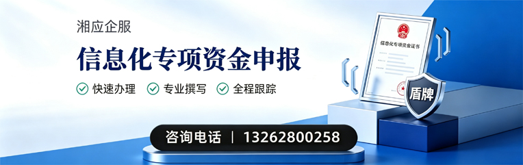 衡阳信息化专项资金申报服务