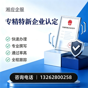 衡阳专精特新企业申报服务