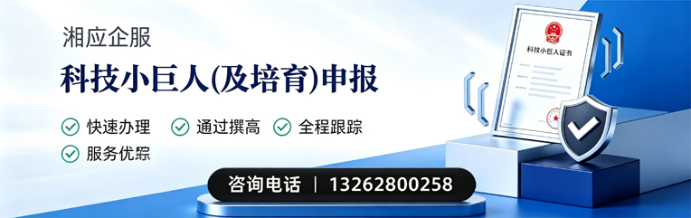 衡阳科技小巨人及培育企业申报服务