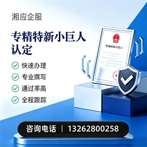 衡阳专精特新小巨人申报服务