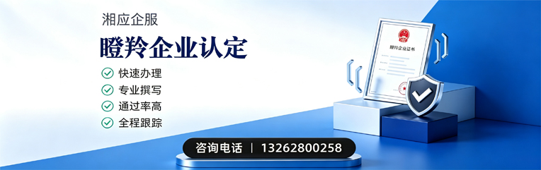 衡阳瞪羚企业认定申报服务