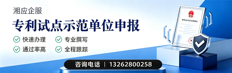 衡阳专利试点示范单位申报服务