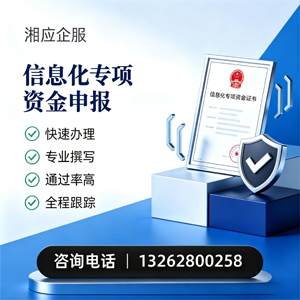 衡阳信息化专项资金申报服务
