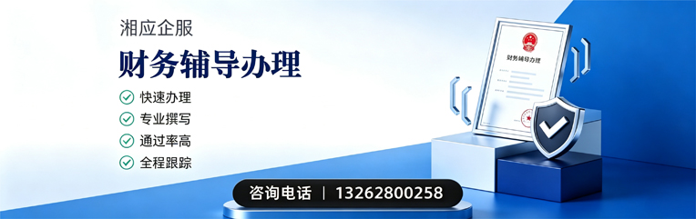 衡阳财务辅导申请服务
