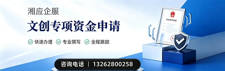 衡阳文创专项资金申报服务