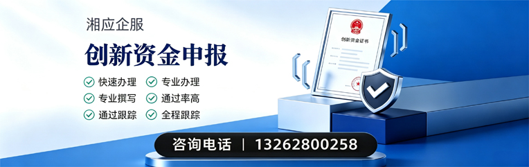 衡阳创新资金申报服务