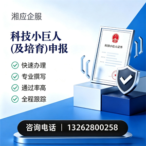 衡阳科技小巨人及培育企业申报服务
