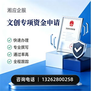 衡阳文创专项资金申报服务