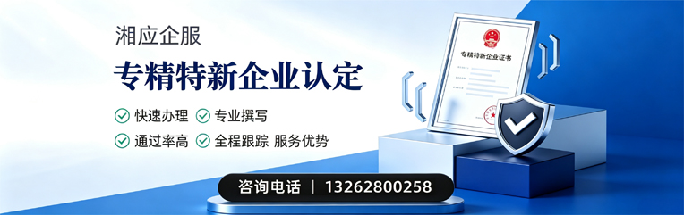 衡阳专精特新企业申报服务