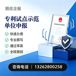 衡阳专利试点示范单位申报服务
