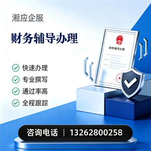 衡阳财务辅导申请服务