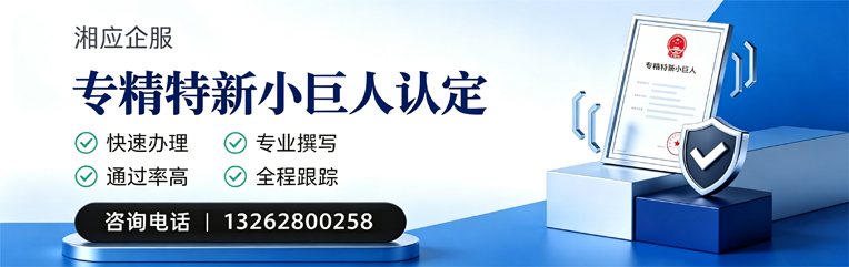 衡阳专精特新小巨人申报服务